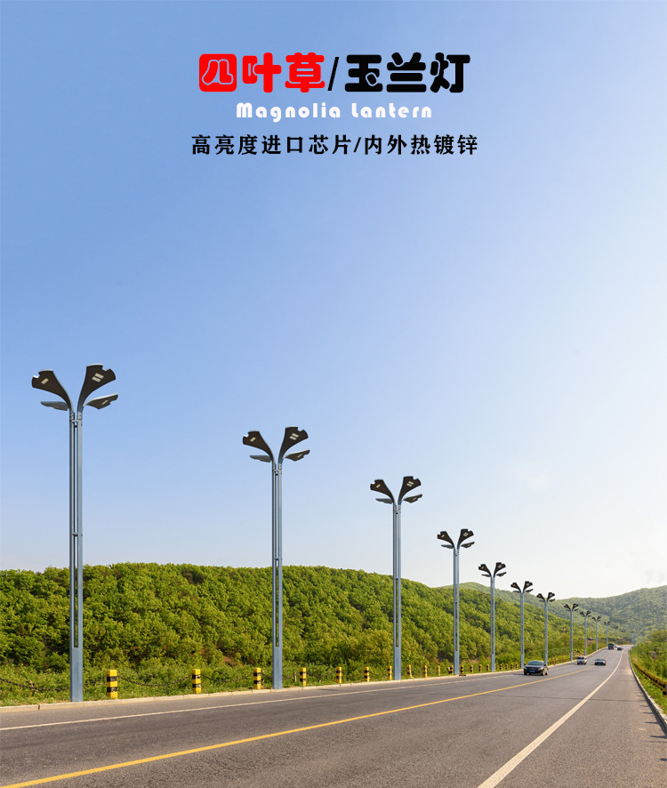 大型景观灯/玉兰灯景观灯市政道路/户外广场照明庭院灯